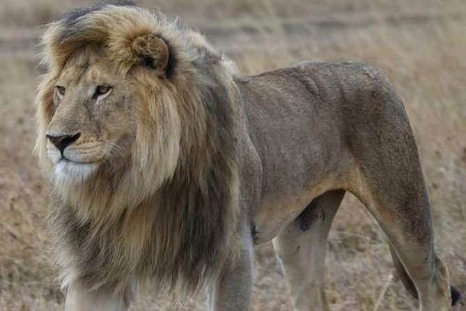 2 Days Camping Safari, Lake Manyara & Ngorongoro Crater - Getting From Arusha to Lake Manyara Without Wasting Your Day