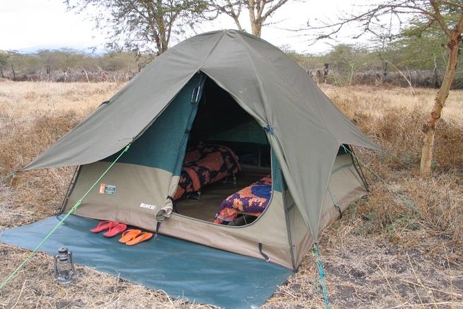 2 Days Camping Safari, Lake Manyara & Ngorongoro Crater - Small Group Safari Makes It Feel Like a Trip, Not a Conveyor Belt