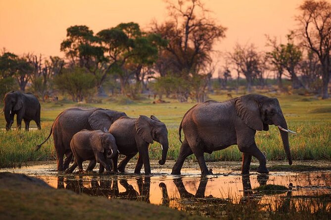 2 days Majestic Tanzania safari Tarangire and Ngorongoro Crater - The overnight campsite: where the trip resets