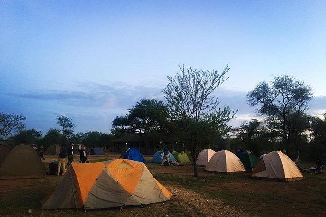 2 days Mid Range Safari in Ngorongoro and Tarangire Big 5 Parks - Camping Night in the Masai Steppe: Simple Sleep, Big Memories