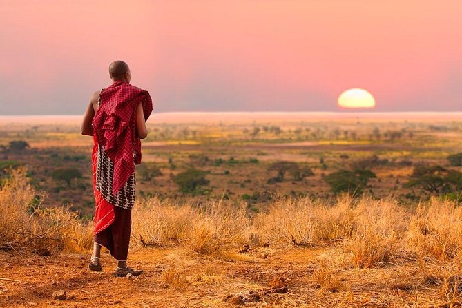 2 days Mid Range Safari in Ngorongoro and Tarangire Big 5 Parks - From Arusha at 5:00am: Pickup, 4x4 Comfort, and What to Expect on Drive Days