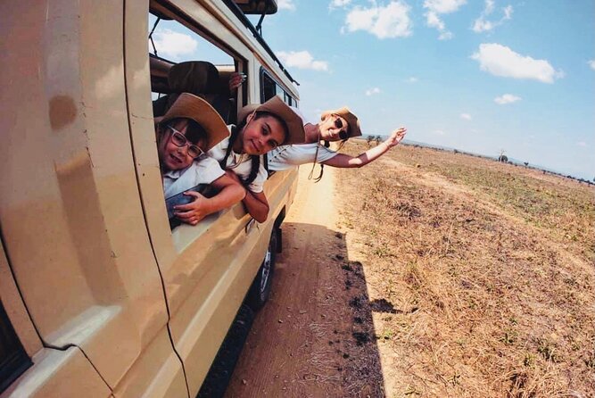 2 Days Mikumi National Park Safari From Dar es salaam or Zanzibar - Private safari comfort: your schedule, your guide, your jeep