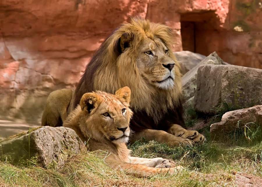 2 DAYS - MIKUMI PARK FROM DAR ES SALAAM BY LUXURY TRAIN - Key highlights to look forward to