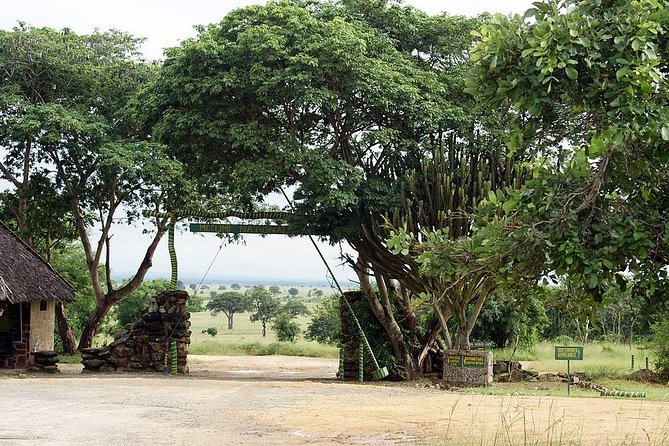 2 Days - Mikumi safari depart from Zanzibar or Dar es salaam - From Zanzibar or Dar es Salaam: how the route shapes your day