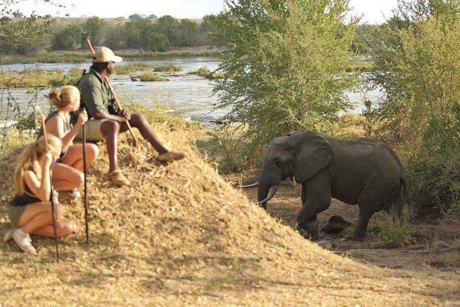 2 Days Morogoro- Selous Game Reserve(Nyerere national park) - Selous Game Reserve and Nyerere Park connection: what you are really aiming for