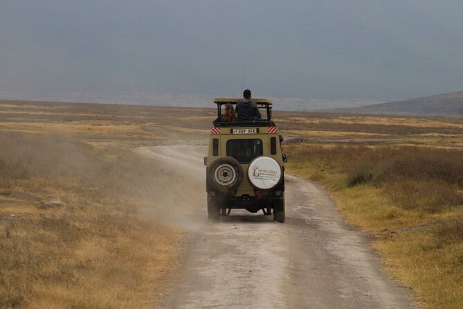 2 days private lodge safari - Descending Into Ngorongoro Crater: 600 Meters of Wildlife Density