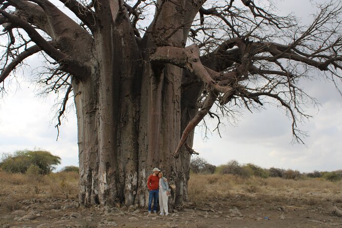 2 days private lodge safari - Value Check: What This Safari Gives You for $1,600