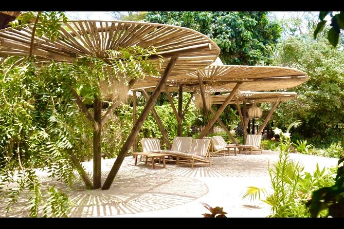 2 Days Private Midrange Safari from and back to Zanzibar - Zanzibar to Arusha: The Flight and Drive That Make or Break Day 1