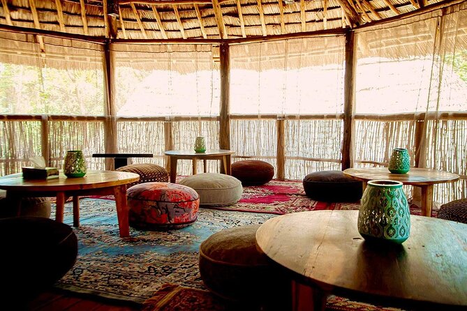 2 Days Private Midrange Safari from and back to Zanzibar - Optional Lake Manyara Night Drive: When the Safari Turns Into After Dark