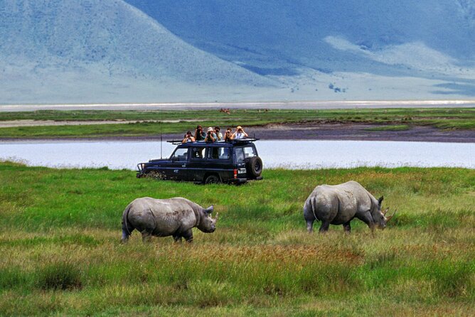 2 Days Private Midrange Safari from and back to Zanzibar - Ngorongoro Crater Sunrise: Rhinos First, Hippo Pool Lunch, Big Caldera Views