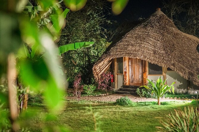 2 Days Private Midrange Safari from and back to Zanzibar - Price and Value: What $1,557 Covers and Why It’s Not Just a Safari Ticket