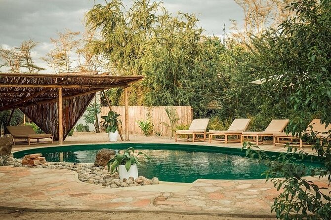 2 Days Private Midrange Safari from and back to Zanzibar - Tarangire National Park, Baobabs, River Drives, and a Real Picnic Break