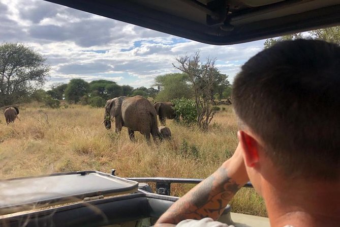 2-Days Private Midrange Safari; Tarangire & Ngorongoro Crater - Park Time, Private Tour Feel, and What to Expect From the Big Game