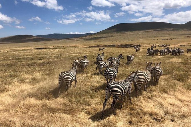 2-Days Private Midrange Safari; Tarangire & Ngorongoro Crater - Price and Value for a Private Midrange Safari