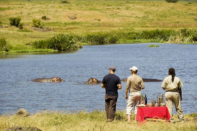 2-Days Private Midrange Safari; Tarangire & Ngorongoro Crater - Jungle Pearl Lodging and the Midrange Comfort You Actually Need