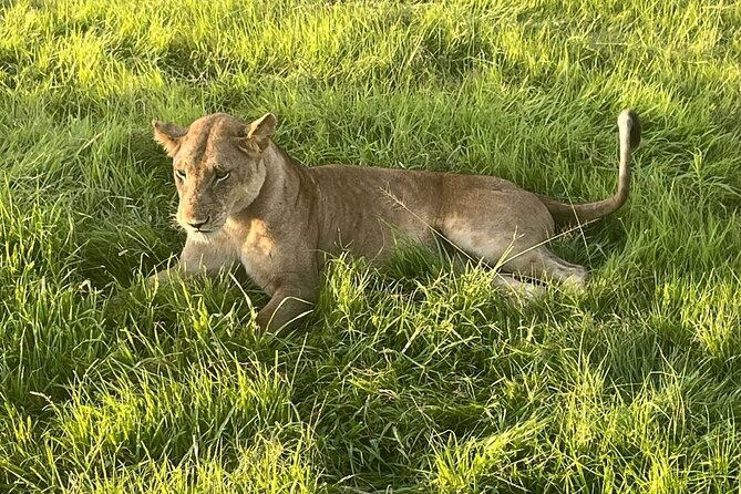 2 days private safari to Mikumi N park from Zanzibar or Dsm - Why Mikumi Works for a Fast Safari From Dar es Salaam