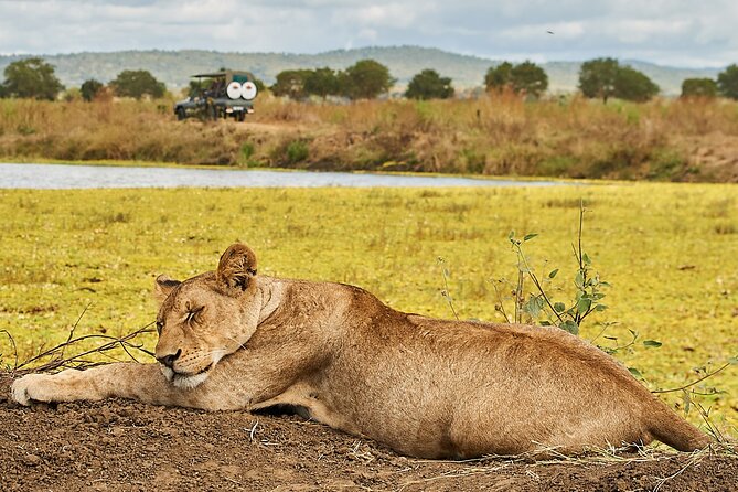 2 Days Private Safari Tour of Mikumi - Key highlights worth planning for