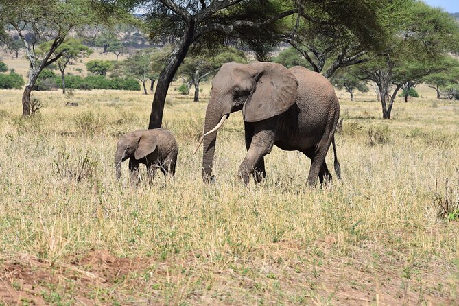 2-Days Private The Ultimate Tanzania Safari Tour - Why this 2-day Tanzania safari combo makes sense
