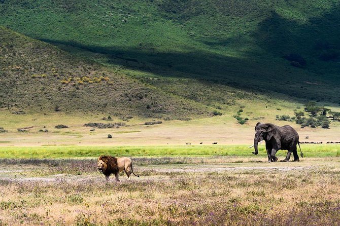2 days quick trip to Mikumi National park - Mikumi in 48 Hours, what this safari gets right