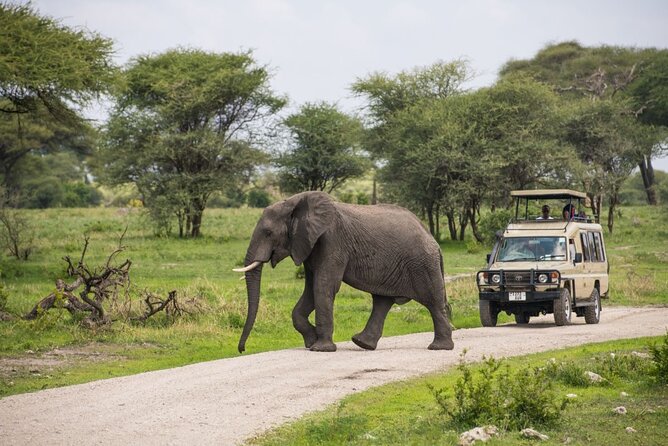 2 Days Ruaha National park - Key things I’d plan around