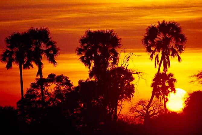 2 Days Ruaha National park - The Ruaha wildlife factor: why 2 days can feel long