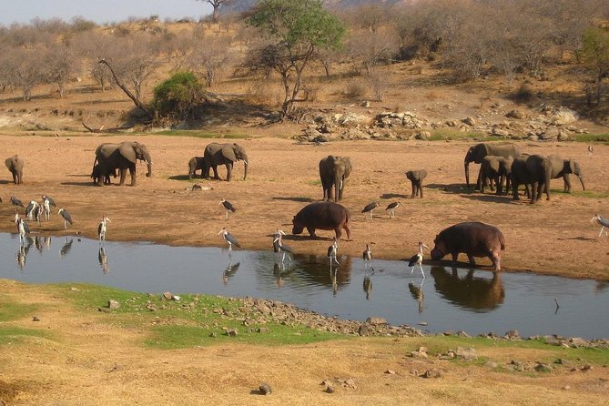 2 Days Ruaha National park - Price and value: what $450 really covers