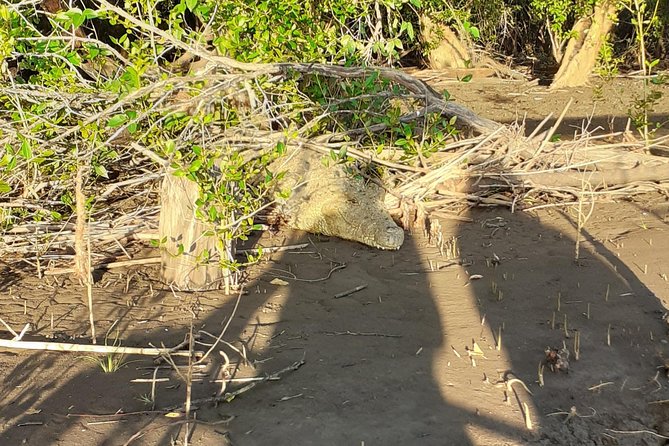 2 Days Saadani National Park From Zanzibar - Price and logistics: is $860.24 per person worth it?