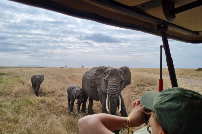 2 Days Safari in Tarangire and Ngorongoro Crater - Key highlights you’ll actually feel on the ground