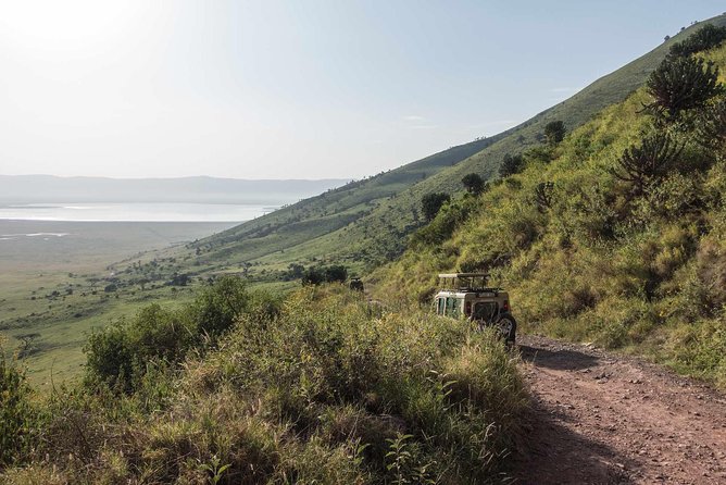 2-Days Safari Tarangire Park and Ngorongoro Crater - Key Points at a Glance