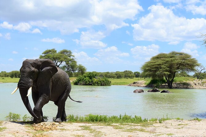 2 Days Safari through Tarangire NP and Lake Manyara NP - Arusha to Tarangire to Lake Manyara, in Two Days