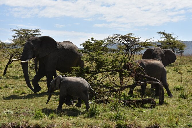 2 Days Safari through Tarangire NP and Lake Manyara NP - Lake Manyara: The Value of an Early Start
