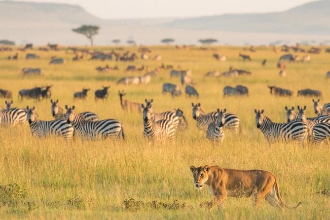 2 Days Selous Game Reserve Safari from Zanzibar or Dar es salaam - The early flights that save your vacation time