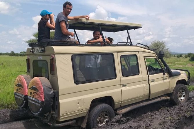 2 Days Tanzania Safari - Lake Manyara and Tarangire National Park - Kizumba Tented Lodge Overnight: Sleep in the Safari Cadence