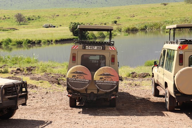 2 Days Tanzania Safaris - Price and value: what $600 gets you for two days