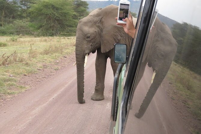 2 Days Tarangire and Ngorongoro Crater Tour - Getting Started at 5:30 am: The Arusha Meeting Point
