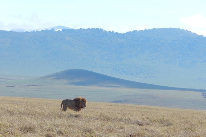 2 Days Tarangire and Ngorongoro Crater Tour - Your Safari Vehicle and Small-Group Advantage