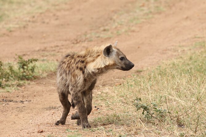 2 Days Tarangire and Ngorongoro Group Camping Safari - Camping night near Ngorongoro: saving transit time for the crater day