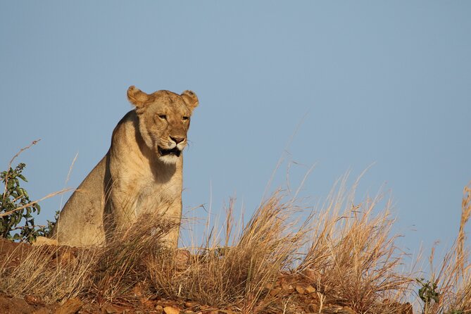 2 Days Tarangire and Ngorongoro Group Camping Safari - Price and value at $550: what you’re really paying for