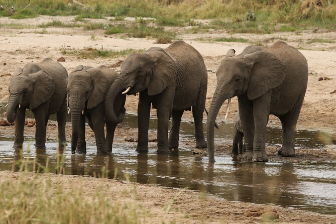 2 Days Tarangire and Ngorongoro Mid-Range Group Safari - Suricata Boma Lodge Evening: Camping Comfort and Dinner Details