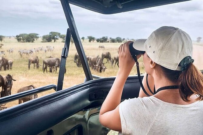 2 Days Tarangire and Ngorongoro Safari from Zanzibar - Tarangire National Park: river action, golden savannah, and baobabs