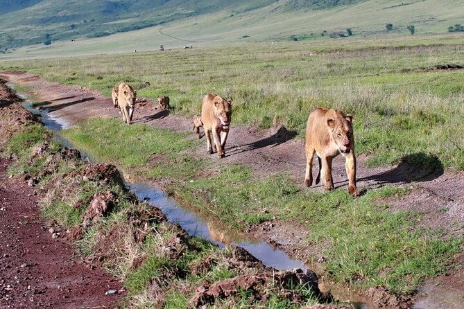 2 Days Tarangire and Ngorongoro Safari from Zanzibar - Big picture price and value: what $2,167 per person really buys