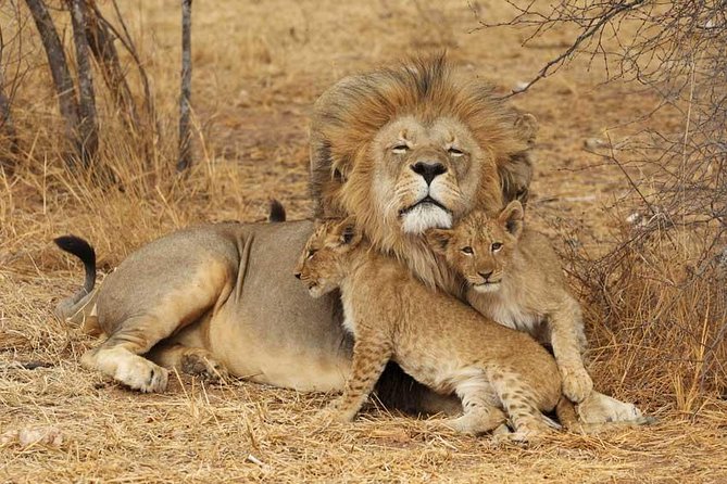 2 Days Tarangire and Ngorongoro Safari from Zanzibar - Practical tips so your two days go smoothly