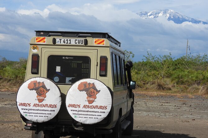 2 Days Tarangire and Ngorongoro Safari from Zanzibar - Should you book this Tarangire and Ngorongoro safari?