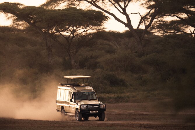 2 Days Tarangire and Ngorongoro Safari Tour in Tanzania - How This 2-Day Safari Works From Arusha or Moshi