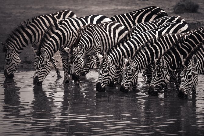 2 Days Tarangire and Ngorongoro Safari Tour in Tanzania - Who This Safari Suits Best, and Who Might Want More Time