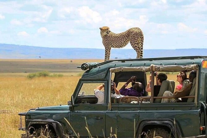 2 days Tarangire and Ngorongoro short safari - Quick highlights