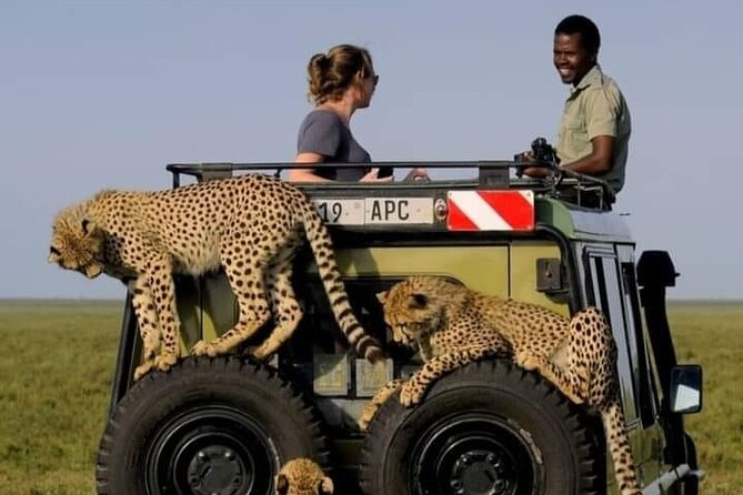 2 days Tarangire and Ngorongoro short safari - Price and what makes it feel like value at $1,100 per person