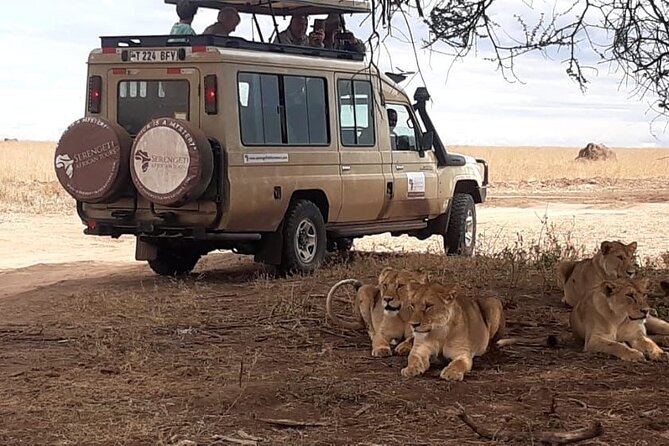 2 Days Tarangire & Ngorongoro Budget Safari Tour Tanzania - Price and value: why this budget format works (and when it might not)