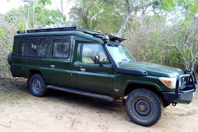 2 Days Tour From Zanzibar to Nyerere National Park (Selous GR) - Day 2: Sunrise Bush Walking, Then Great Rufiji River by Boat