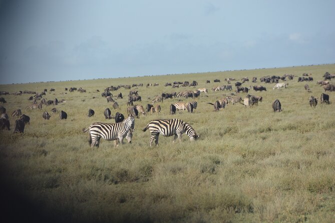 2 Days Tour From Zanzibar to Nyerere National Park (Selous GR) - Price and Value: Is $1,025.65 Fair for This 2-Day Plan?